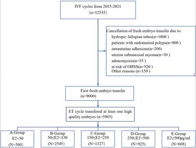 Peri-implantation estradiol level has no effect on pregnancy outcome in vitro fertilization- embryo transfer